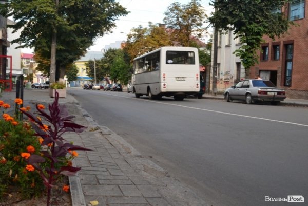 Місто, яке я люблю. Квіти Луцька