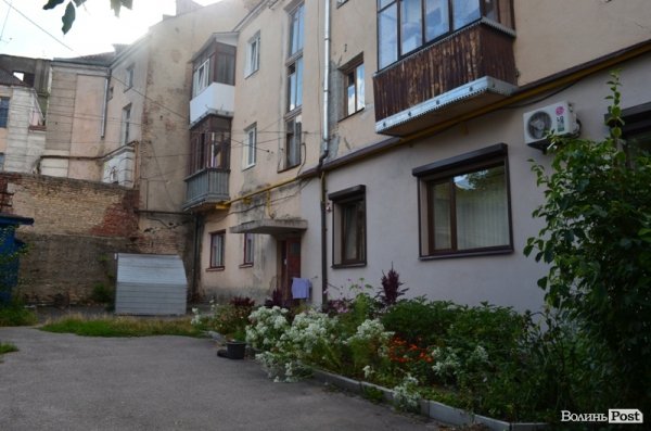 Місто, яке я люблю. Квіти Луцька