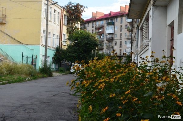 Місто, яке я люблю. Квіти Луцька