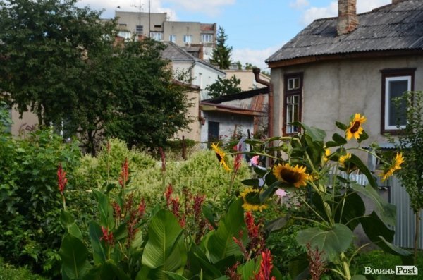 Місто, яке я люблю. Квіти Луцька