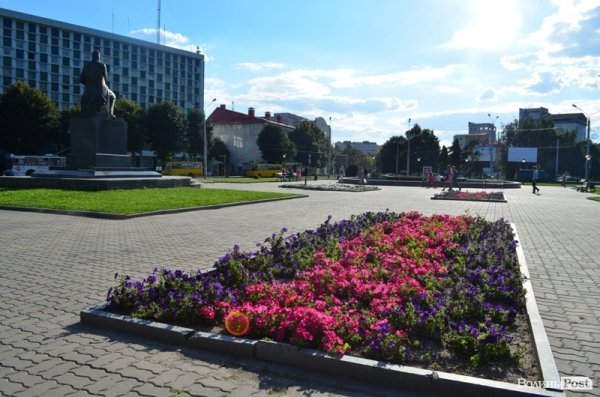 Місто, яке я люблю. Квіти Луцька