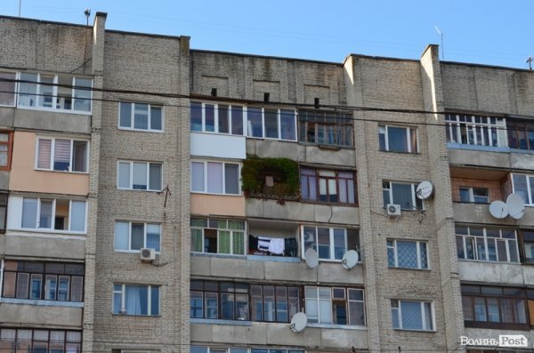 Місто, яке я люблю. Квіти Луцька