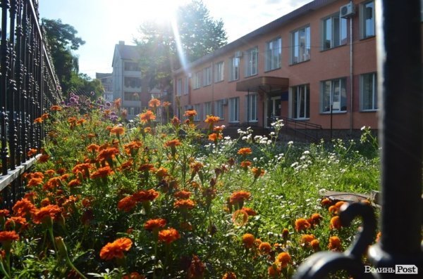 Місто, яке я люблю. Квіти Луцька