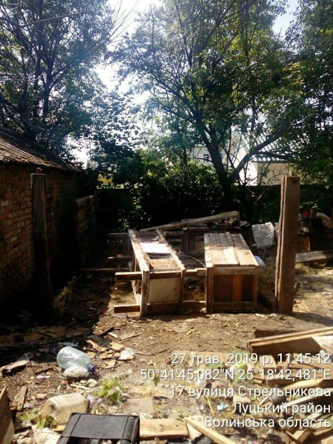 Гноївки, свині та сміття: що мешканці однієї з вулиць Луцька зберігають на своїх подвір'ях. ФОТО