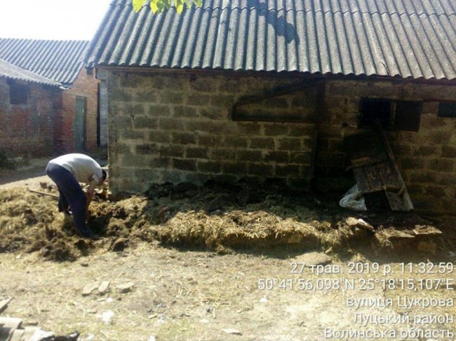 Гноївки, свині та сміття: що мешканці однієї з вулиць Луцька зберігають на своїх подвір'ях. ФОТО