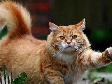 Погода в Луцьку та Волинській області на четвер, 11 квітня