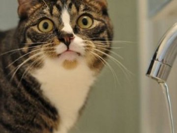 Місто на Волині на добу залишиться без води