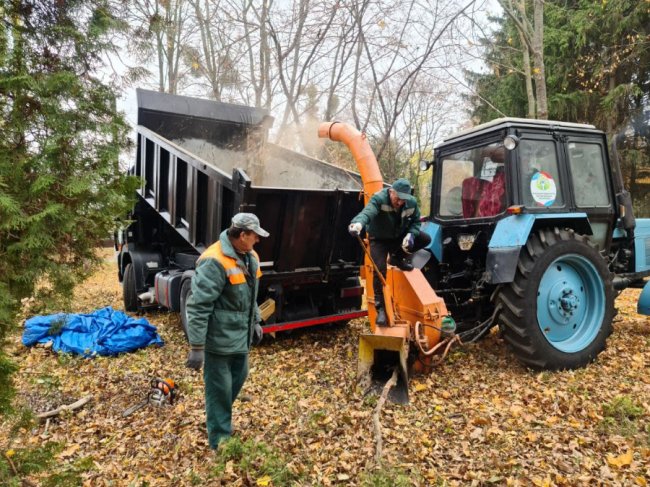 Біля Луцької райлікарні відновлюють парк. ФОТО