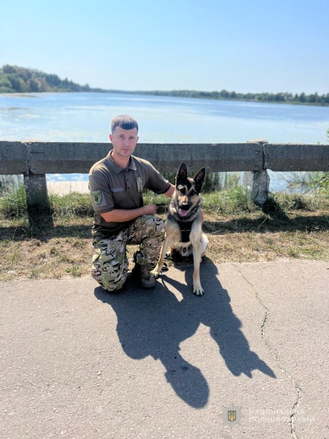 «Загубилась мама»: на Волині вівчарка знайшла зниклу жінку