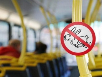 Е-квиток: як у громадському транспорті Луцька шукатимуть «зайців»