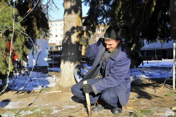 Новий Рік приходить: Луцькі ялинки прикрашають