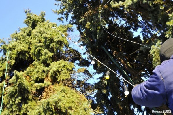 Новий Рік приходить: Луцькі ялинки прикрашають