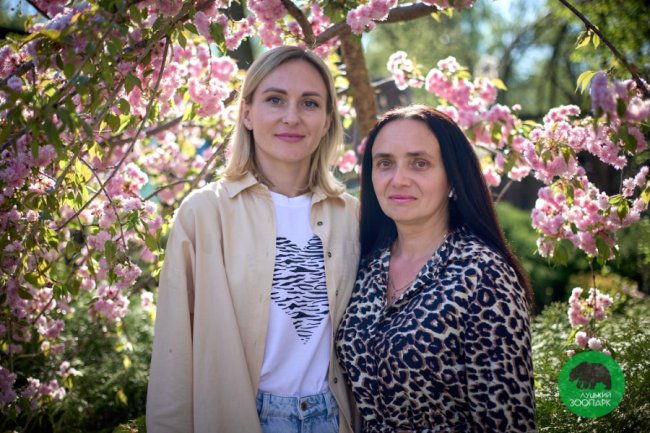 У Луцькому зоопарку зацвіли сакури. ФОТО