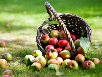 Погода у Луцьку на завтра, 20 серпня