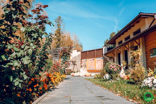 Жовтогаряча осінь у Луцькому зоопарку. ФОТО