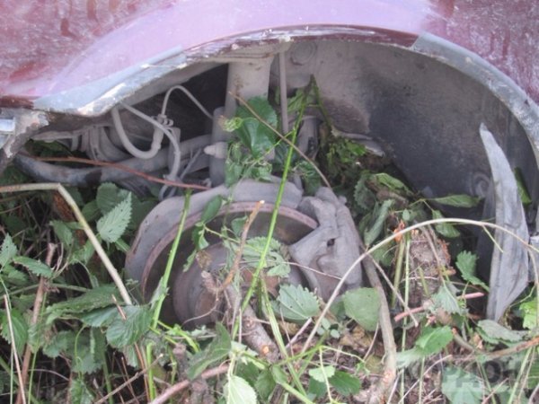 В любомльських лісах знайшли «автомобіль-привид». ФОТО