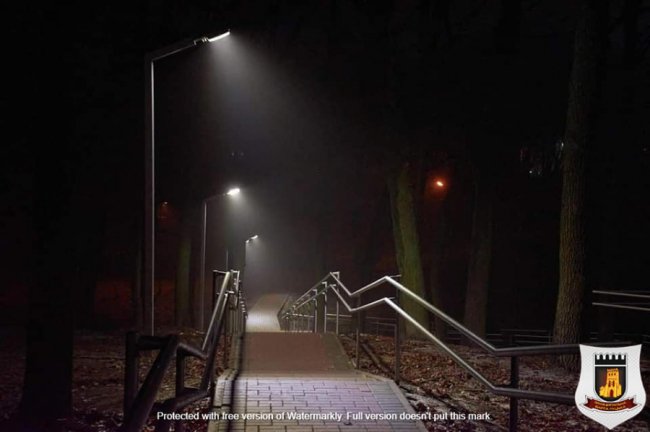 У Луцьку вандали понищили парк «Дубовий гай»: там встановлять відеонагляд