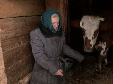 «Я люблю коло них ходити»: 85-річна волинянка доглядає за сімома коровами
