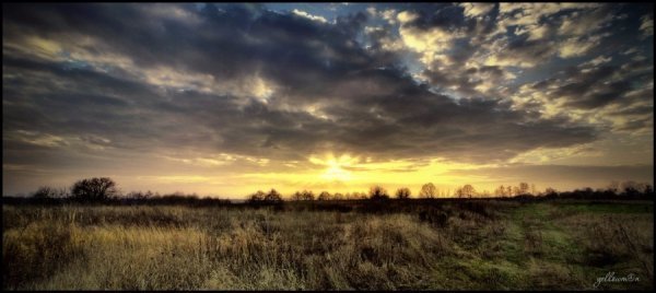 Лісова пісня озерного Полісся. ФОТО