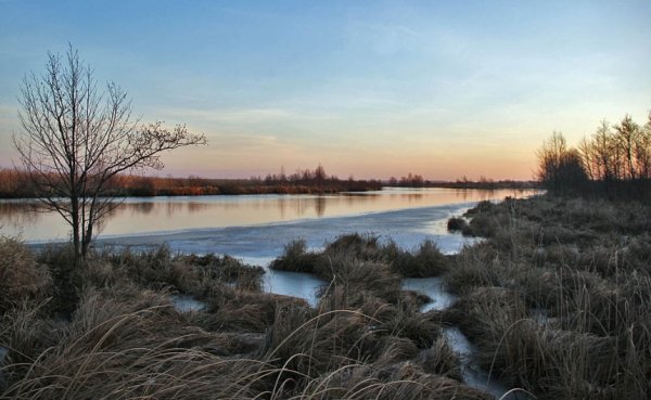 Лісова пісня озерного Полісся. ФОТО