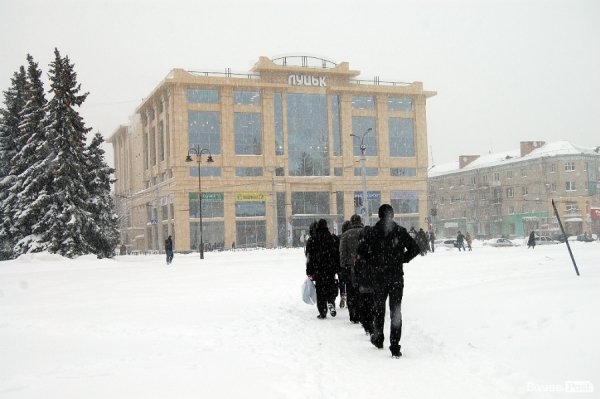 Як Луцьк замело снігом. ФОТО