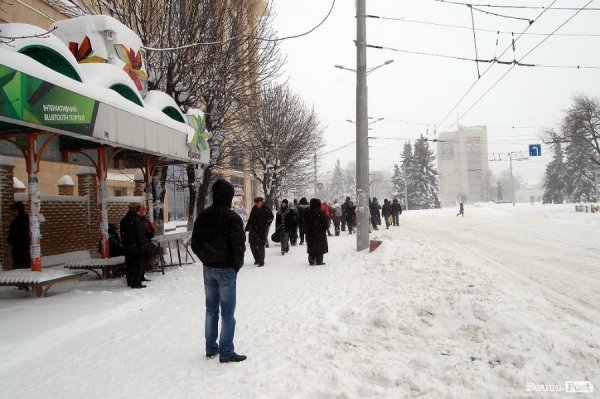 Як Луцьк замело снігом. ФОТО