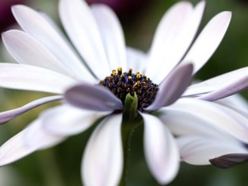 Погода в Луцьку та Волинській області на суботу, 1 травня