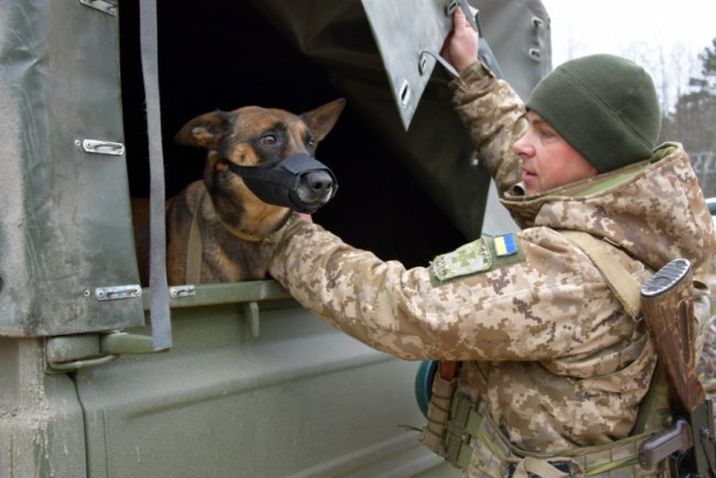 Тварин полюбив під час роботи в Італії: історія кінолога з Волинського прикордонного загону