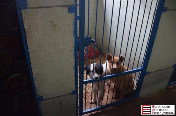 Депутати Луцькради перевірили, як живеться тваринам. ФОТО 