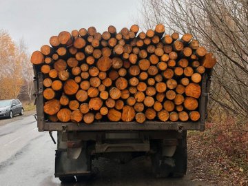 Волинянин перевозив незаконну деревину 