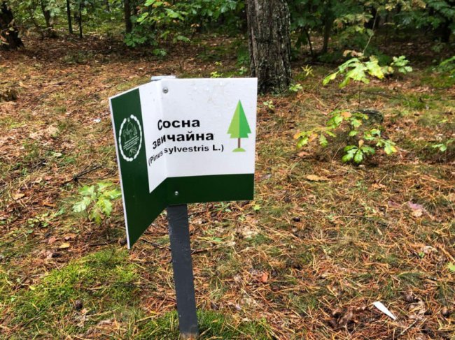 У волинському лісі потрощили нещодавно встановлені інформаційні таблички. ФОТО