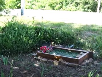 Кладовище для тварин: як у Луцьку легально поховати домашнього улюбленця