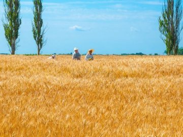 Україна - в ТОП-50 найдешевших країн для проживання