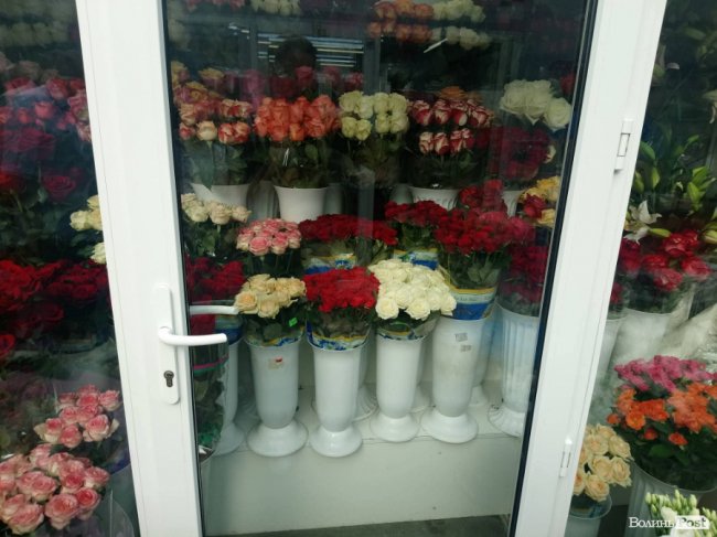 «Квітковий бум» на перший дзвоник: ціни в Луцьку. ФОТО