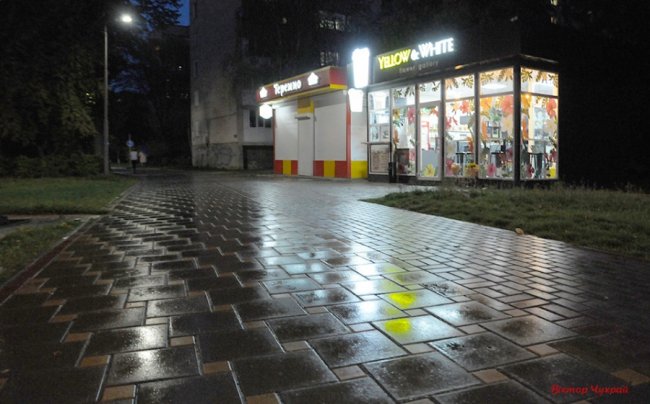 Дощ і світло ліхтарів: магічний вечірній Луцьк на світлинах волинського фотографа