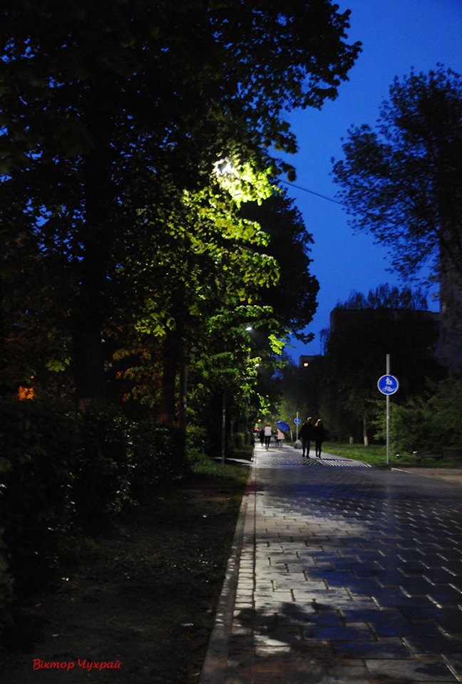 Дощ і світло ліхтарів: магічний вечірній Луцьк на світлинах волинського фотографа