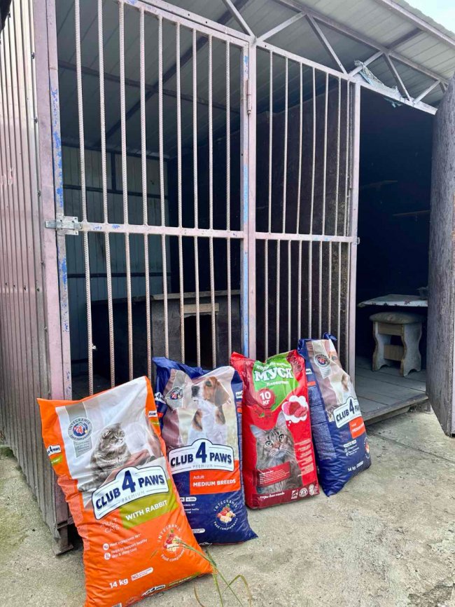 FORTA об'єднує зусилля з постачальниками, щоб допомогти безпритульним тваринам