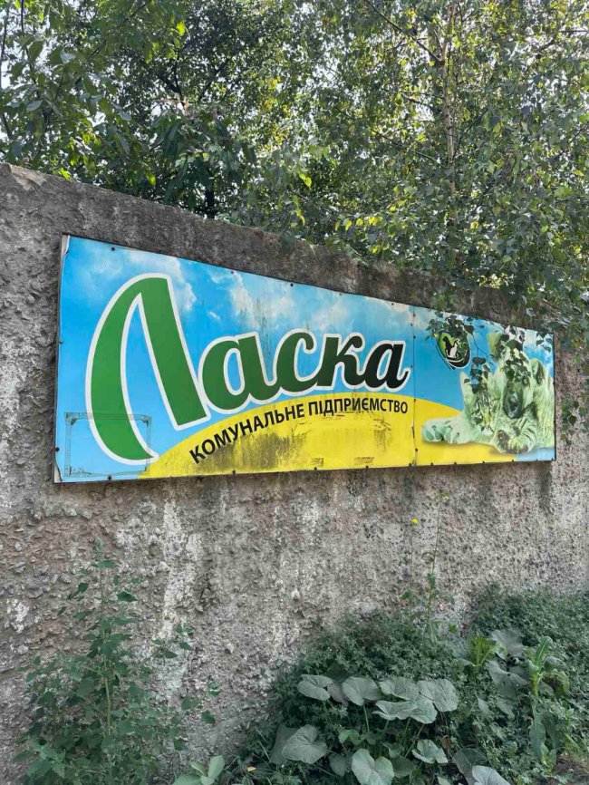 FORTA об'єднує зусилля з постачальниками, щоб допомогти безпритульним тваринам