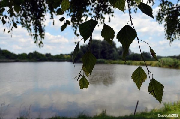 Ставок в оренді з 2002 року.