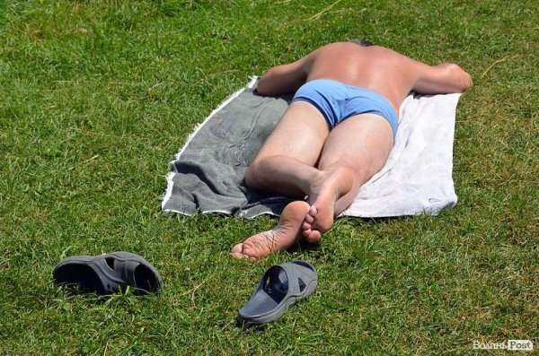 Хтось купається, а хтось просто засмагає.