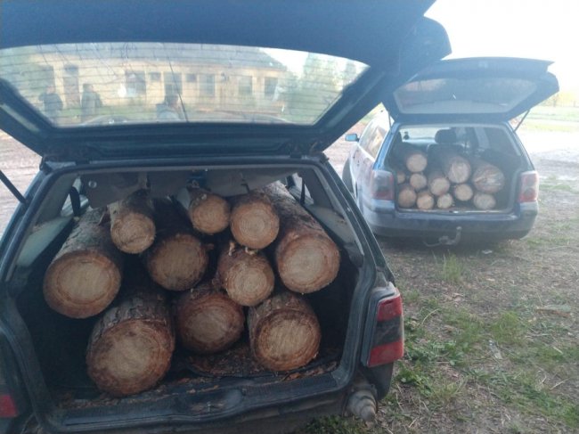Комбо: на Волині спіймали п'яного водія з краденою деревиною. ФОТО