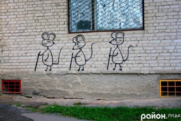 У Луцьку на стінах будинків оселилися кольорові коти. ФОТО