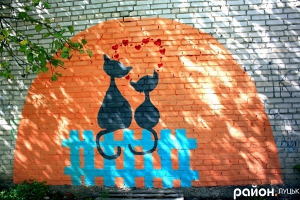 У Луцьку на стінах будинків оселилися кольорові коти. ФОТО