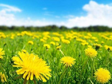 Якою буде погода на Волині у понеділок, 10 травня