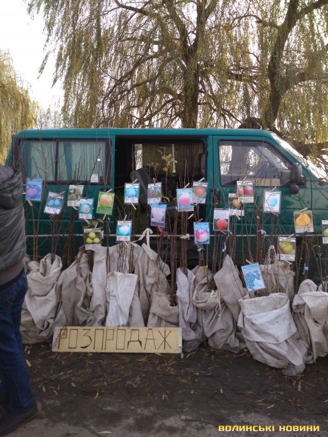 «До пенсії додали аж 5 гривень»: як заробляють на ринку волинські пенсіонери