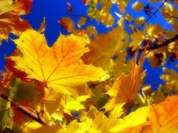 Погода у Луцьку на завтра, 24 жовтня