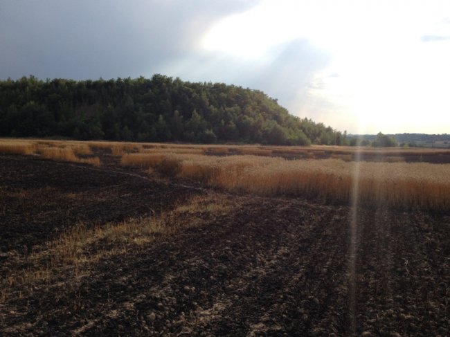 На Волині рятувальники загасили пожежі на полях. ФОТО