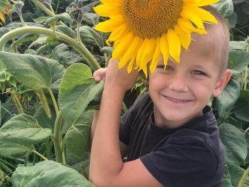 Крізь призму війни: добрі новини від ВолиньPost за 9 листопада