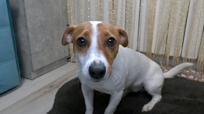 Відсічена рука й осколок, що застряг у щелепі: історія волинського воїна Михайла Бартошика