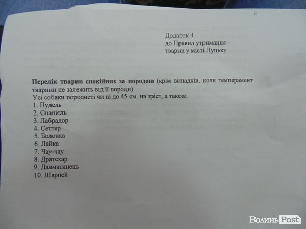 У Луцьку за собачі екскременти можуть оштрафувати на 800 гривень